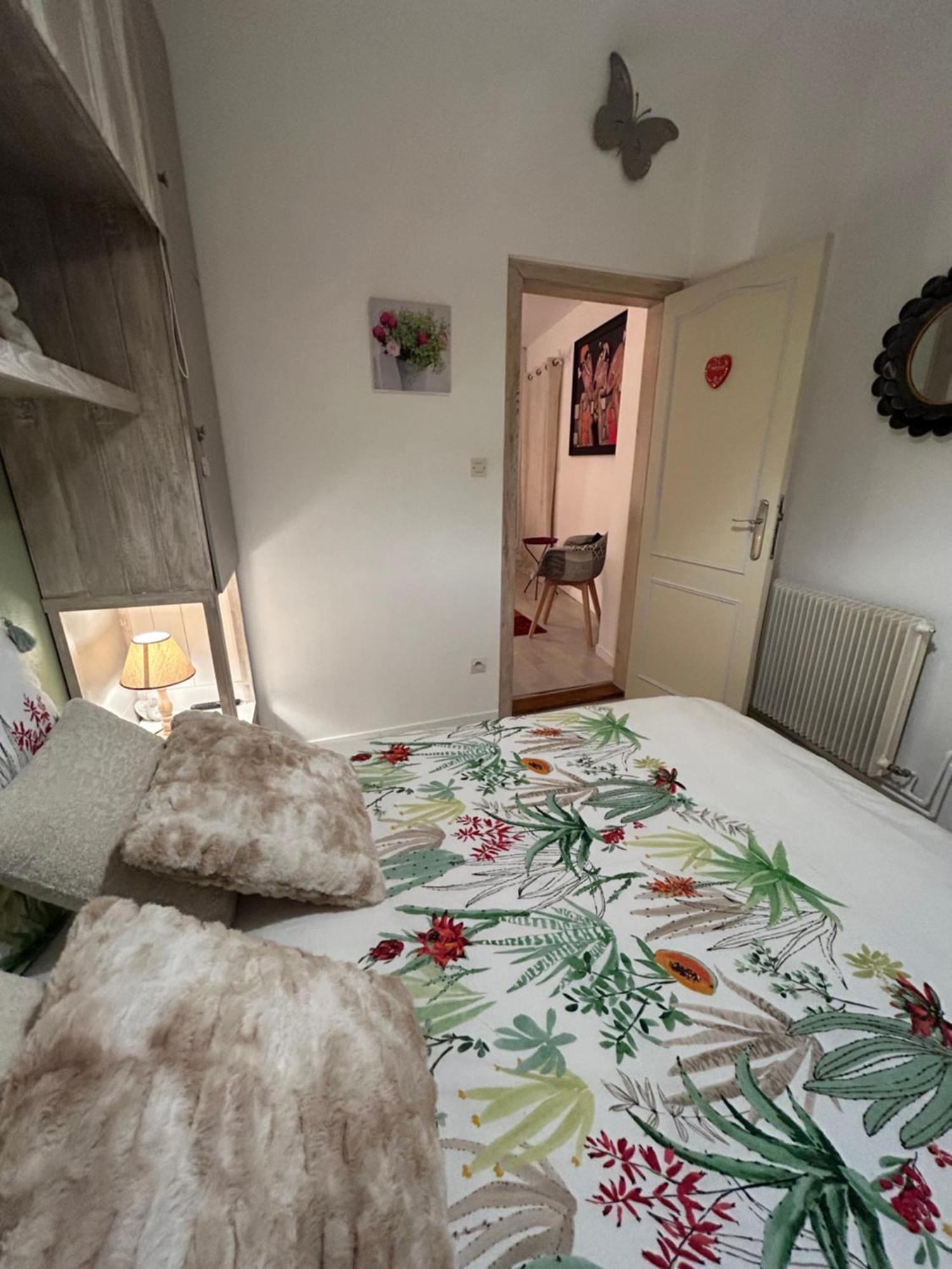 Des Capucins Centre Apartment Selestat